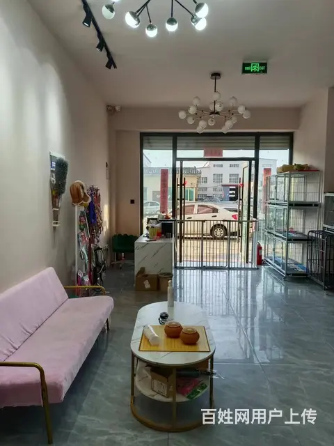 【搞定了！】香坊区进乡街宠物店出兑 - 图片 5