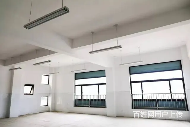 雷锋大道旁420平米综合楼带租约出售（价格实惠）编1046 - 图片 2