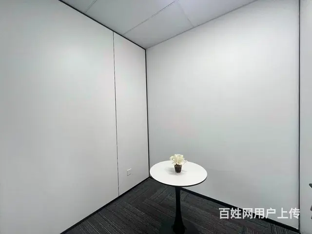 近江地铁口 中豪望江国际200方豪装拎包办公 价格好谈 - 图片 6