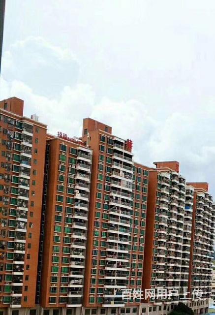 【图】- 紫汇花园 4大栋22层 村委统建楼 业主实收10 - 深圳宝安二手