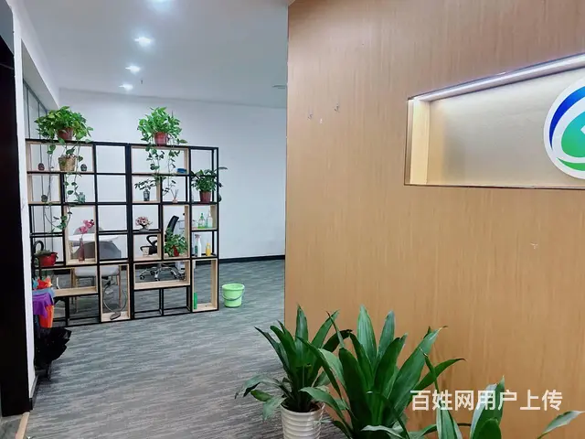 （老板本人）双地铁口环球中心精装修办公楼招合租➕工位招租 - 图片 9