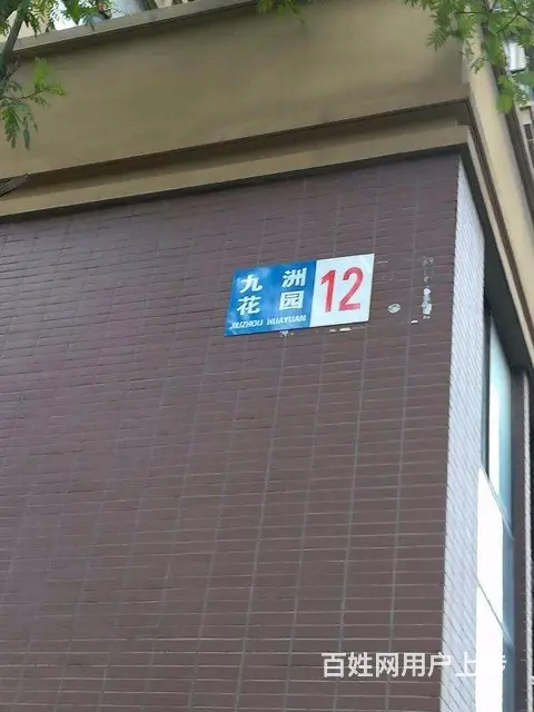 九洲花园一期豪装，3房1卫 楼层好 采光通透，户型 - 图片 8
