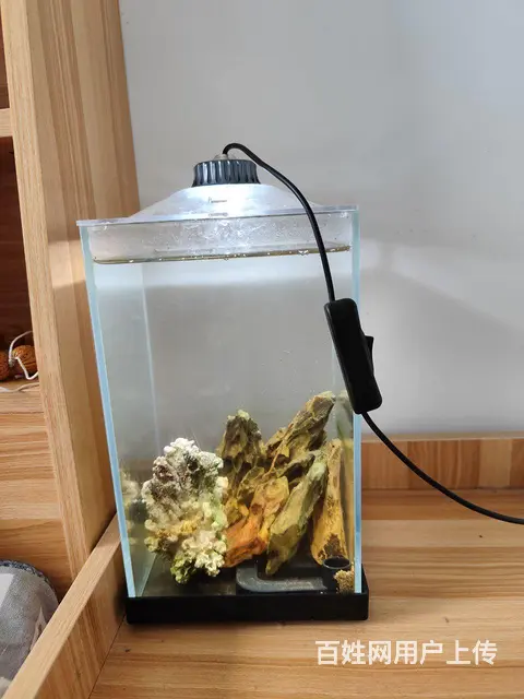 出售造景鱼缸灯全套28*18 - 图片