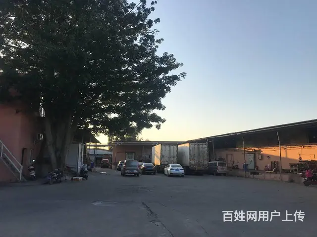 （51旺铺推荐）秀英大道500平仓库厂房招租 - 图片 6