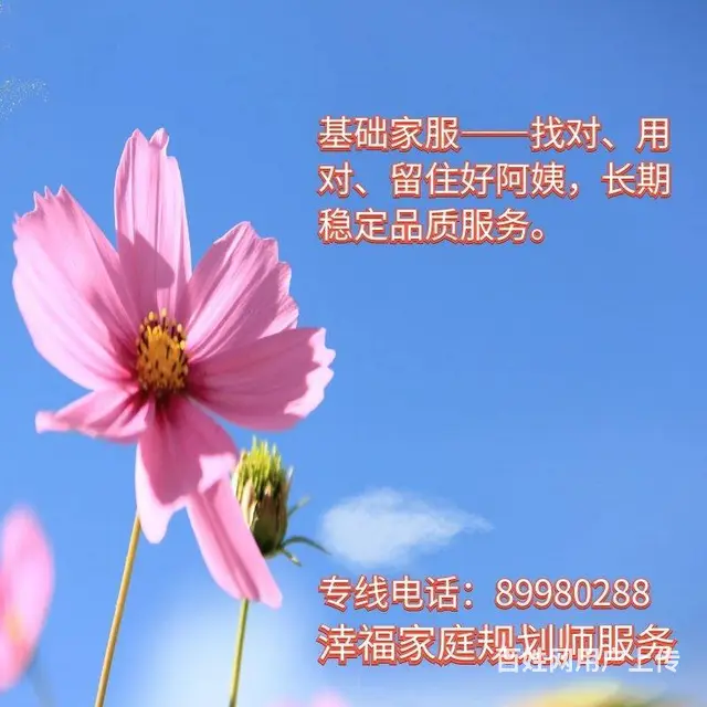 城西银泰固定计时工烧饭保洁接娃历任东家好评可追溯 - 图片
