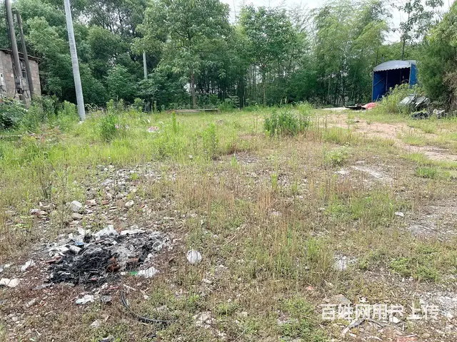 （老板本人）长沙县黄花镇独门独栋厂房/仓库/场地出租5671 - 图片 9