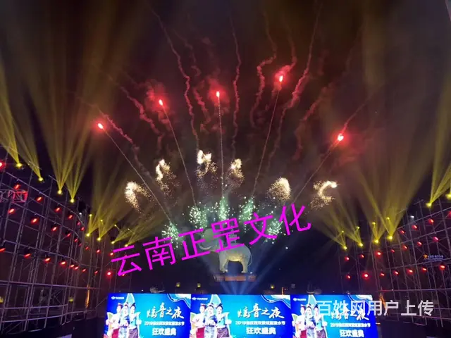活动策划、设计制作、舞美搭建、灯光音响、演出表演 - 图片 5