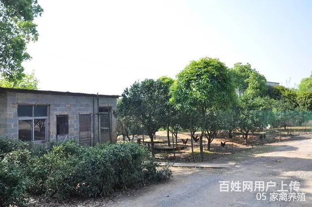 新韶山南路附近的自建房屋等场所出租 - 图片 5