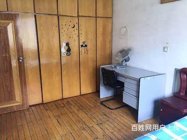 近中街大悦城，两室整租，百乐小区 ，家电全，1000元/月 - 图片 5