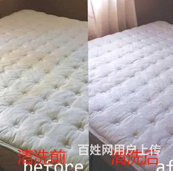 广州江南西除螨公司，清洁螨虫服务，上门清洗床垫除螨 - 图片 6