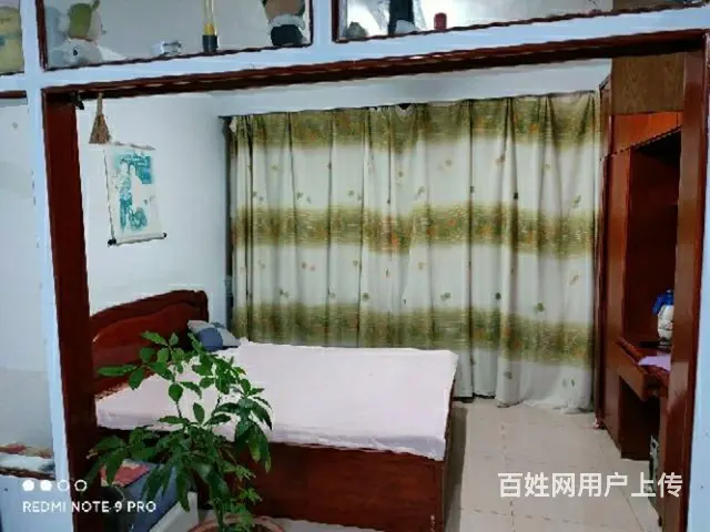 房屋出租 - 图片 1