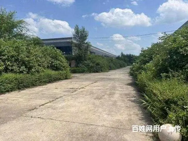 双城城区产业园区厂房出租出售 - 图片 6