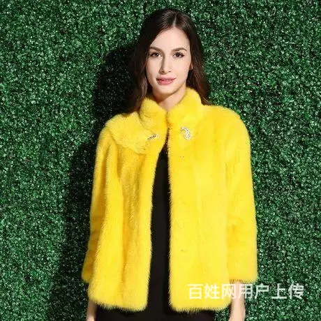辽源常年回收貂皮大衣 - 图片 6