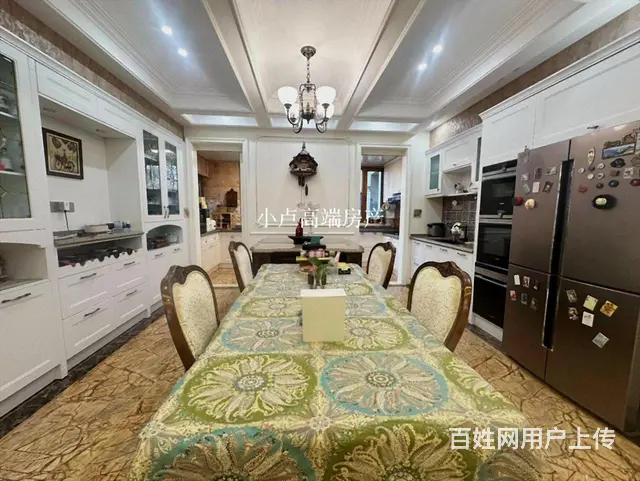 翠湖洋房一楼带地下复式结构，美式豪装百 院临公园使用260平 - 图片 6