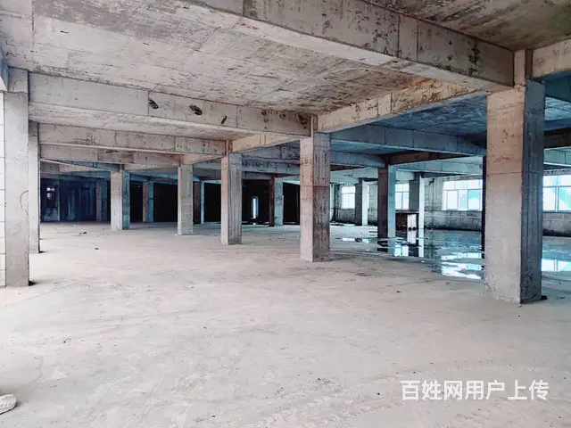 8000工业厂房出租 钢结构 面积大，园区配套齐全，欢迎考察 - 图片 2