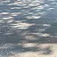 小百姓02212500376
