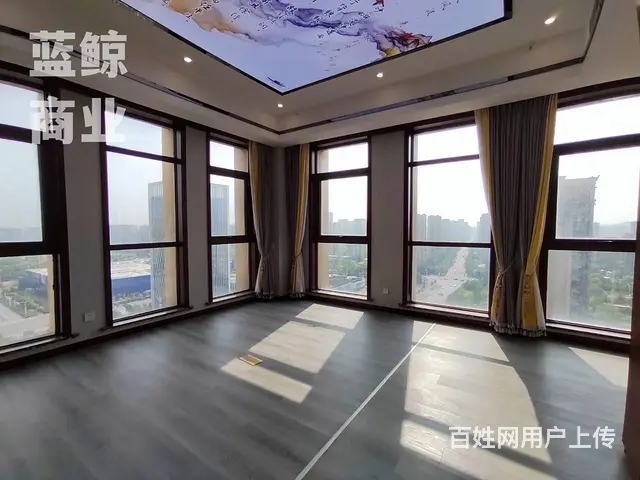金龙湖周边 宜家附近 地铁直达 - 图片 9