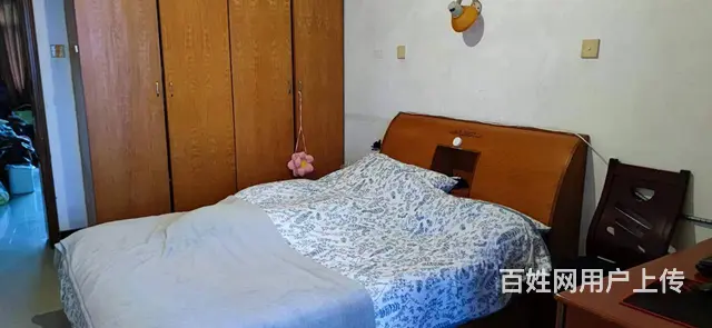 桃花岭小区 普通住宅2厅 精装修 - 图片 2