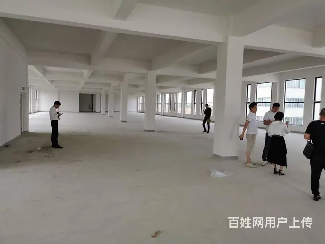 莘庄工业区新建独门独院104地块科创办公生物医药研发，可分租 - 图片 4