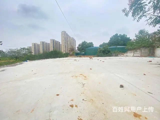 芙蓉区星沙远大二路10000平场地，7亩鱼塘出租，可分租 - 图片 6