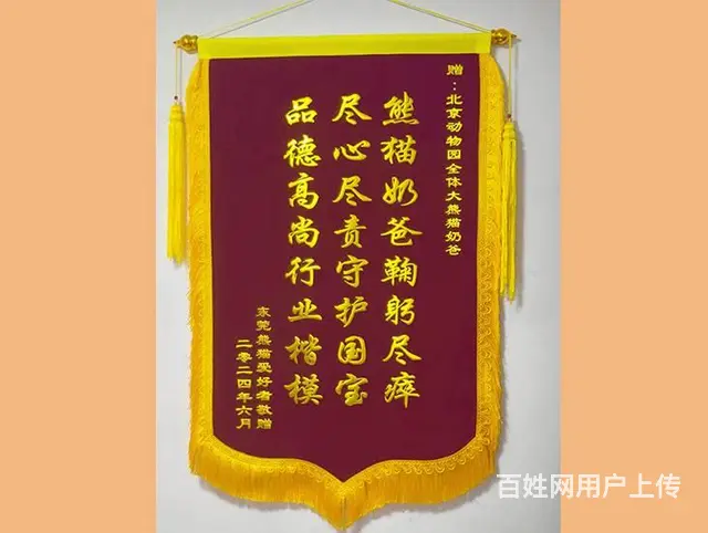 锦旗定制，表达感恩，表达谢意，绒面高档锦旗 - 图片 9