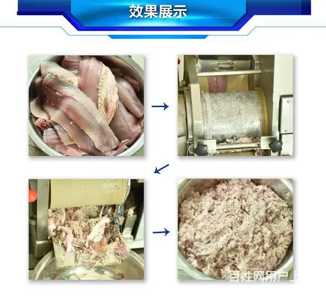 200型不锈钢鱼肉采肉机（鱼刺分离，去皮去骨） - 图片 4