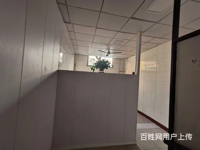 焦东路小学北校区十七中 北环路岗庄独院 - 图片 6