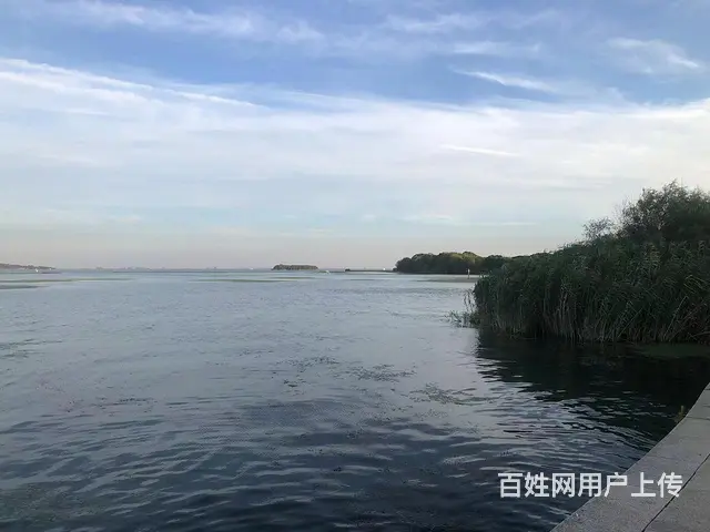 19年贝纳利黄龙300换车转让 - 图片 9