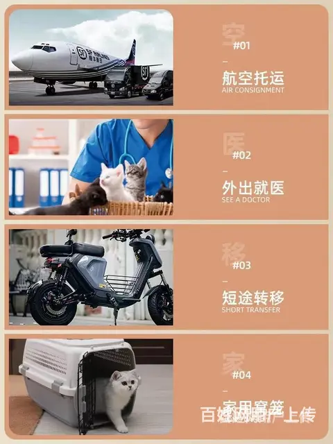 推荐） 三门峡卢氏宠物托运到全国）（猫狗）邮寄快递（宠物活体 - 图片 2