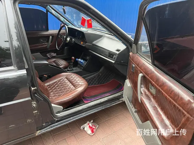 普桑 - 图片 8