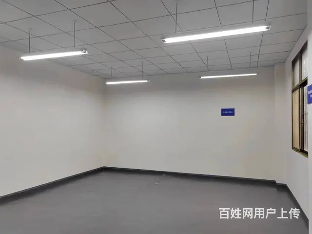 （老板本人）天心区大托铺独门独院厂房仓库低价出租  6016 - 图片 5