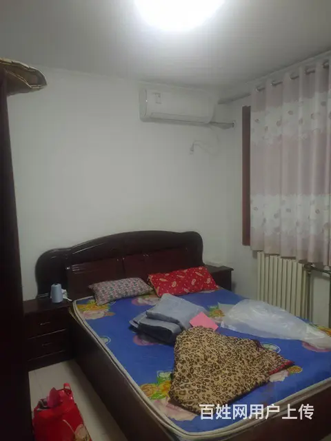 房屋出租 - 图片 2