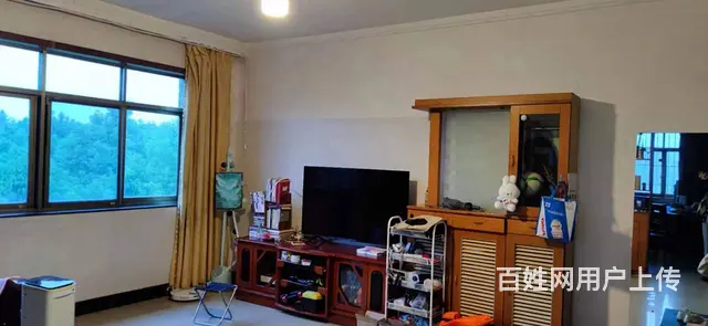 桃花岭小区 普通住宅2厅 精装修 - 图片 6