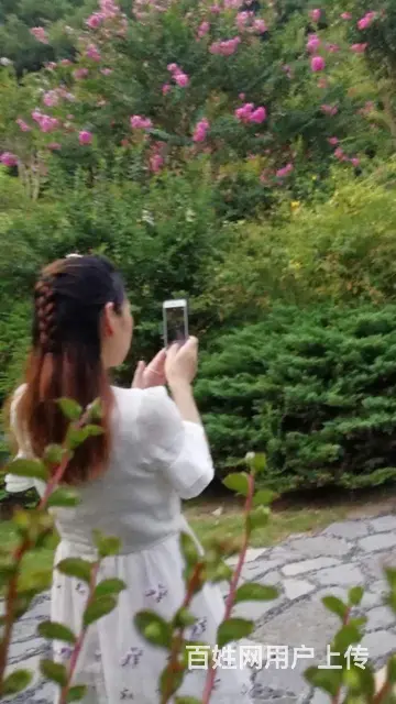 诚意征婚 - 图片