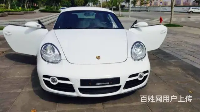 保时捷Cayman [卡曼] 2009款 Caym - 图片 10