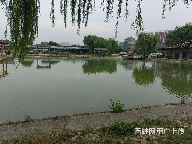 成熟人气钓场转让，有意向的到现场洽谈 - 图片 1