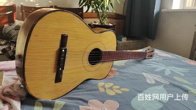 吉他，单面板的， - 图片 2