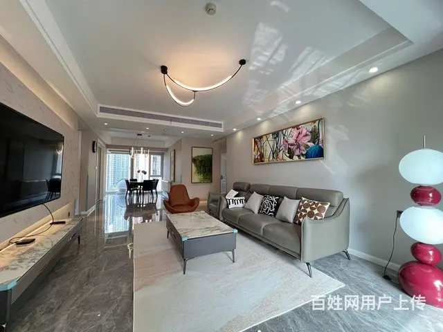 汉口 武汉天地 华发 宸嘉100 D10新希望 4 - 图片 5
