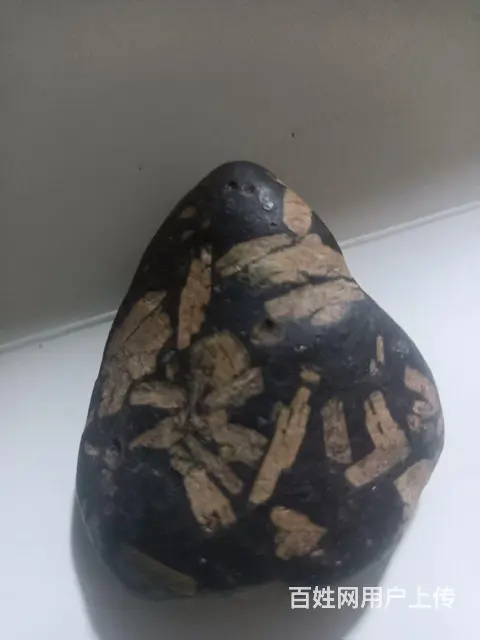 收藏珍品 天然木化石 - 图片 4