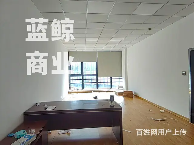绿地商务城蓝海1450平整层纯办公现房写字楼出售 - 图片 4