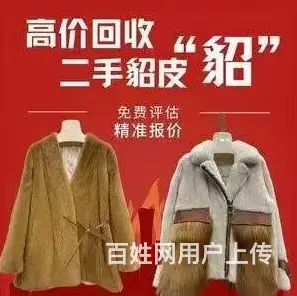 沈阳上门回收二手貂皮大衣 旧貂皮回收 高价回收貂皮 - 图片 1