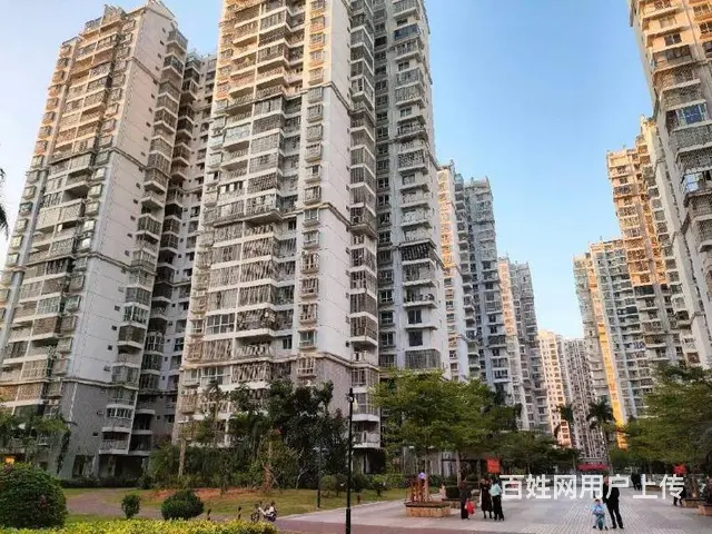 椰海大道湿地公园    海航城4房毛坯房 - 图片 12