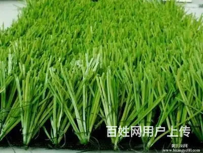 塑胶跑道；耐磨地坪，人造草坪；硅pu球场的铺设 - 图片 5