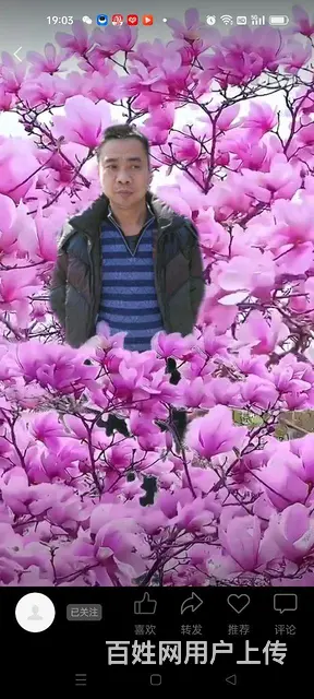 找个好老婆 - 图片 2