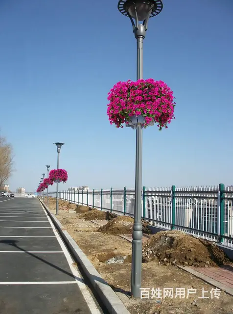 沈阳灯杆景观种植花盆圆顶柱子抱盆立体绿化容器厂家 - 图片 6