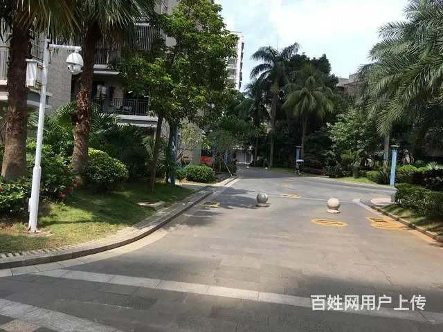 海府路3F2T出租 - 图片 3