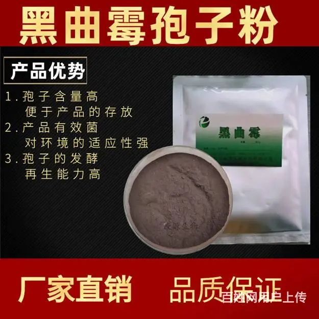 黑曲霉孢子粉的使用方法和产品优势 - 图片