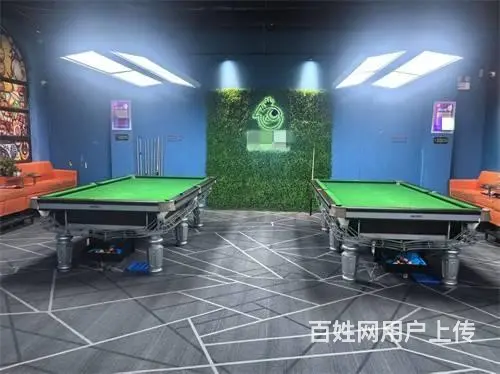 丰满区龙城帝景自助台球桌球出兑 - 图片 7