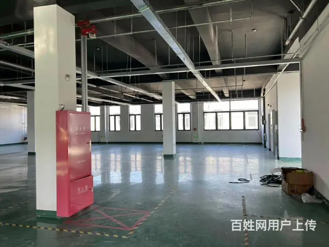 陆家原房东，一楼400平二楼400平，丙类消防，3吨货梯 - 图片 7