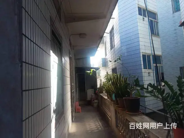 海南省中医院对面，三亚下后街 普通住宅1厅 中等装修 - 图片 4